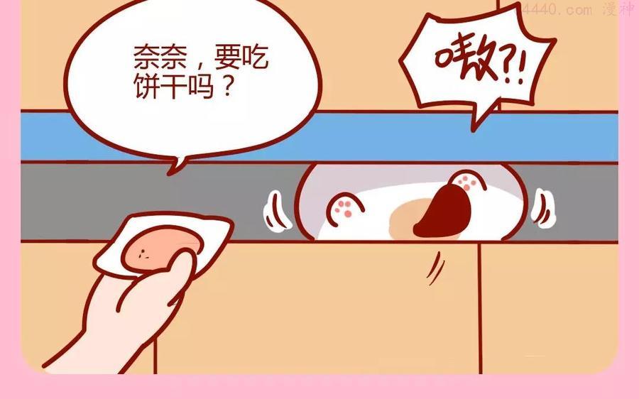 第168话 夹缝猫3