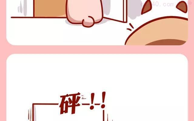 第64话 好大的肥喵上3