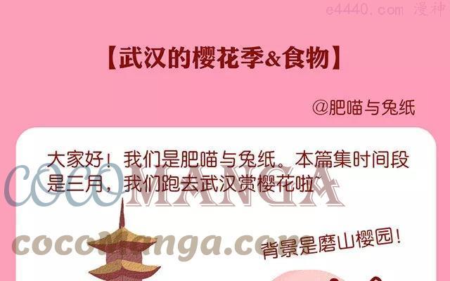 第66话 武汉的樱花季和美食0