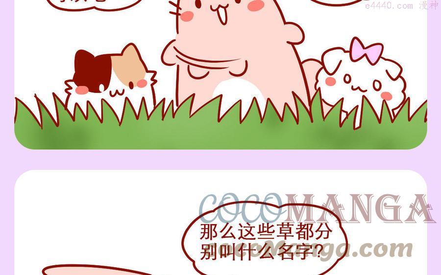 第234话 神奇海螺4
