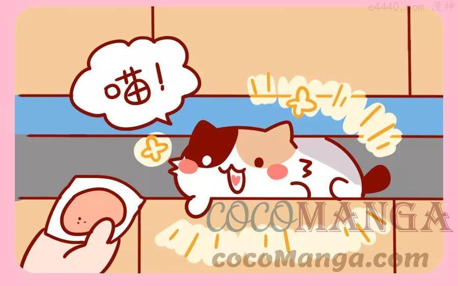 第168话 夹缝猫4