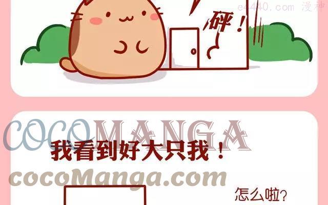 第64话 好大的肥喵上0