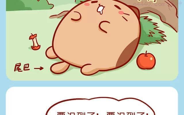 No42 肥喵仙境奇遇11