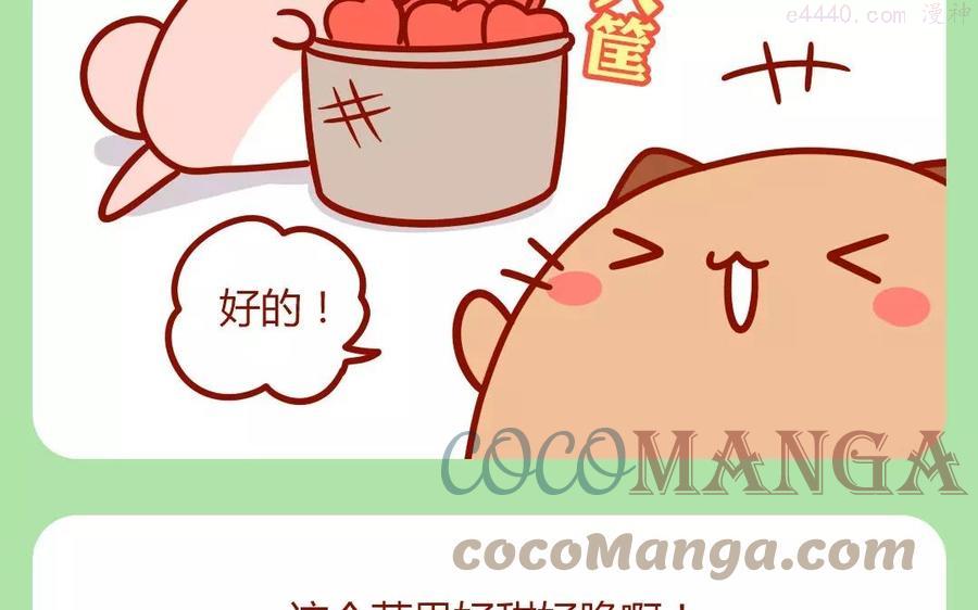 第186话 减肥秘诀4