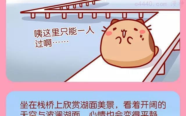第66话 武汉的樱花季和美食1