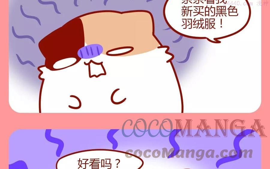 第203话 冬季芒果4