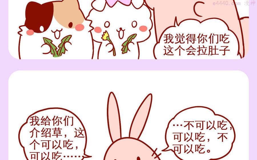 第234话 神奇海螺3
