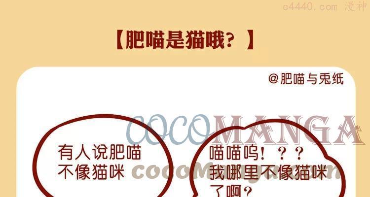 No30 肥喵是猫哦0