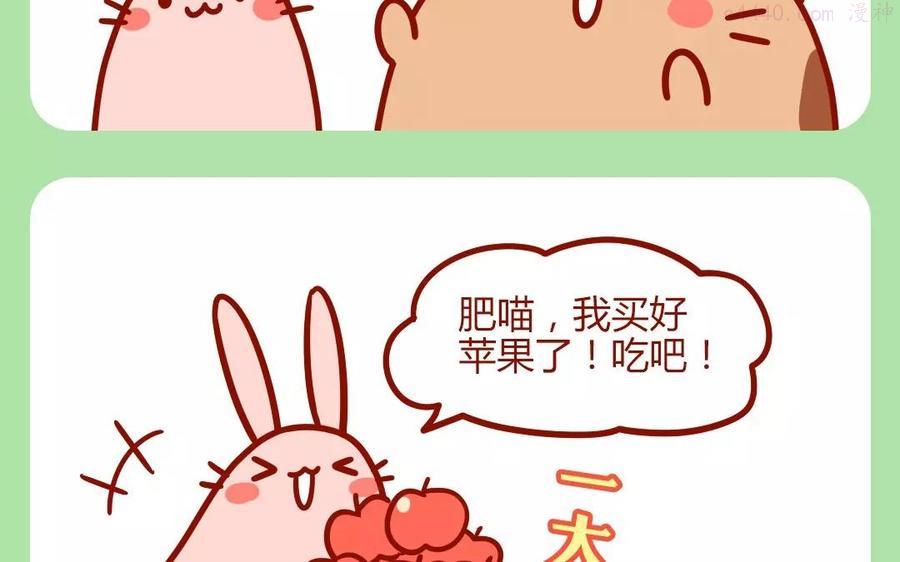 第186话 减肥秘诀3