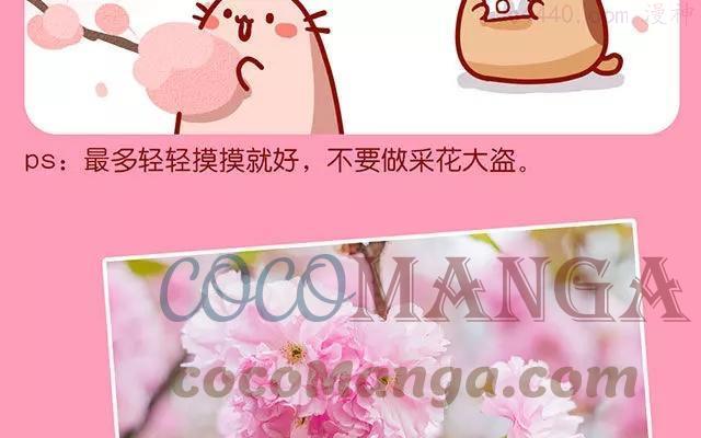 第66话 武汉的樱花季和美食4