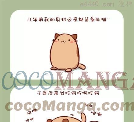 No1 肥喵0