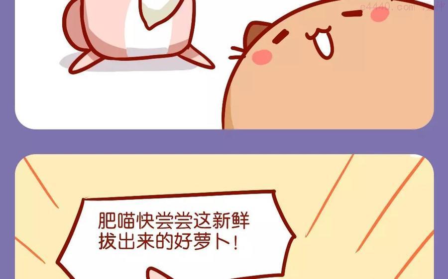 第105话 炖萝卜3