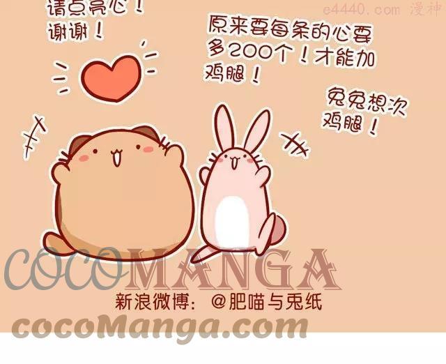 No39 肥胖的肥喵0