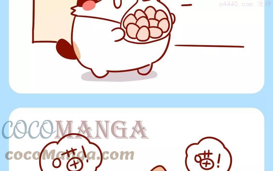 第173话 买鸡蛋4