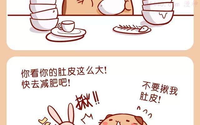 No39 肥胖的肥喵1