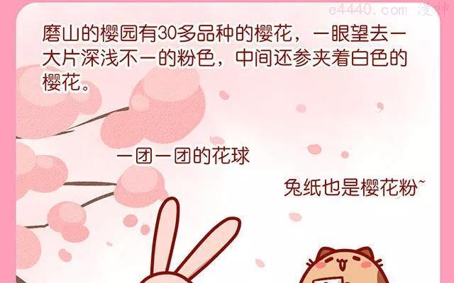 第66话 武汉的樱花季和美食3
