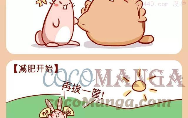 No39 肥胖的肥喵2