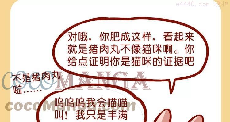 No30 肥喵是猫哦2