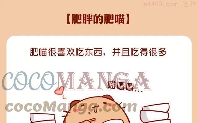 No39 肥胖的肥喵0