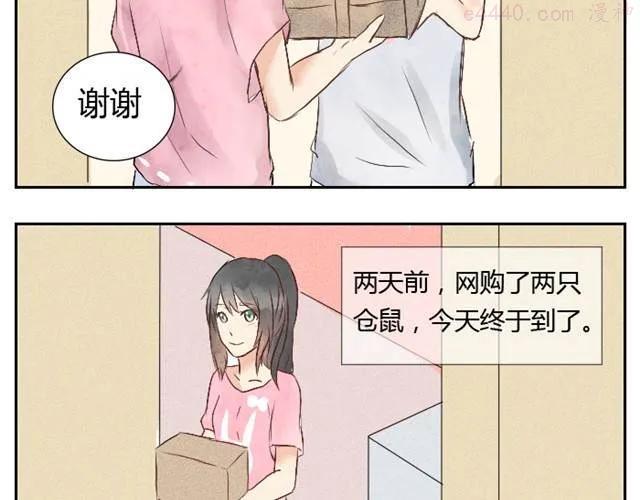 第1话 小混蛋回家了3