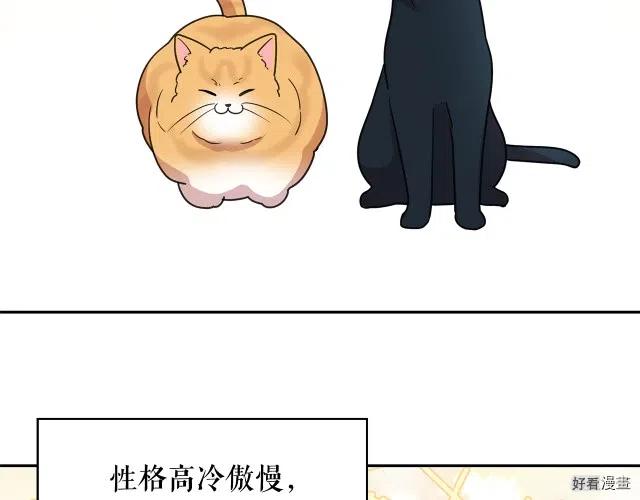 第67话3