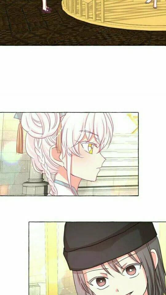第46话 爱的代价3