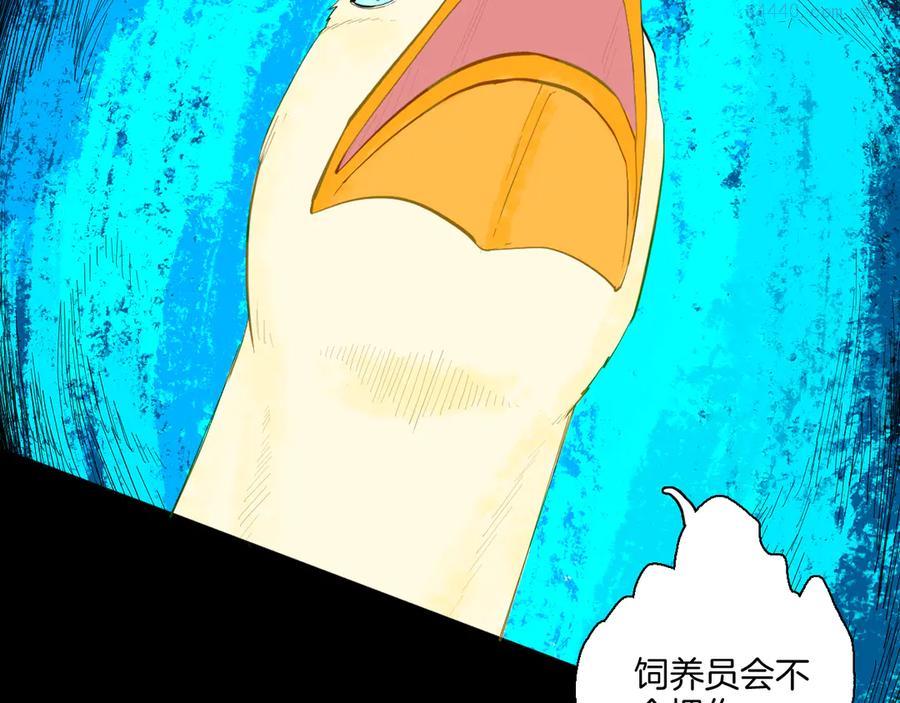 第170话 平凡鸭2