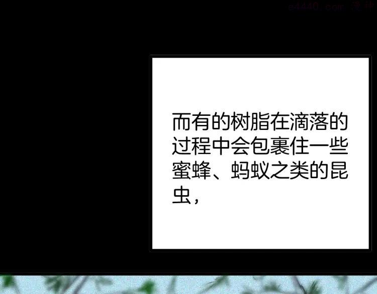 第55话 虫珀收藏家2