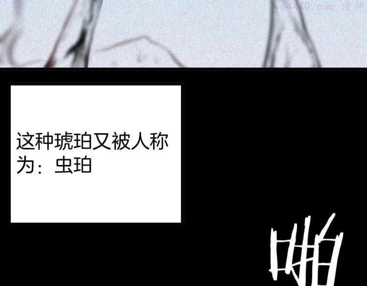 第55话 虫珀收藏家4