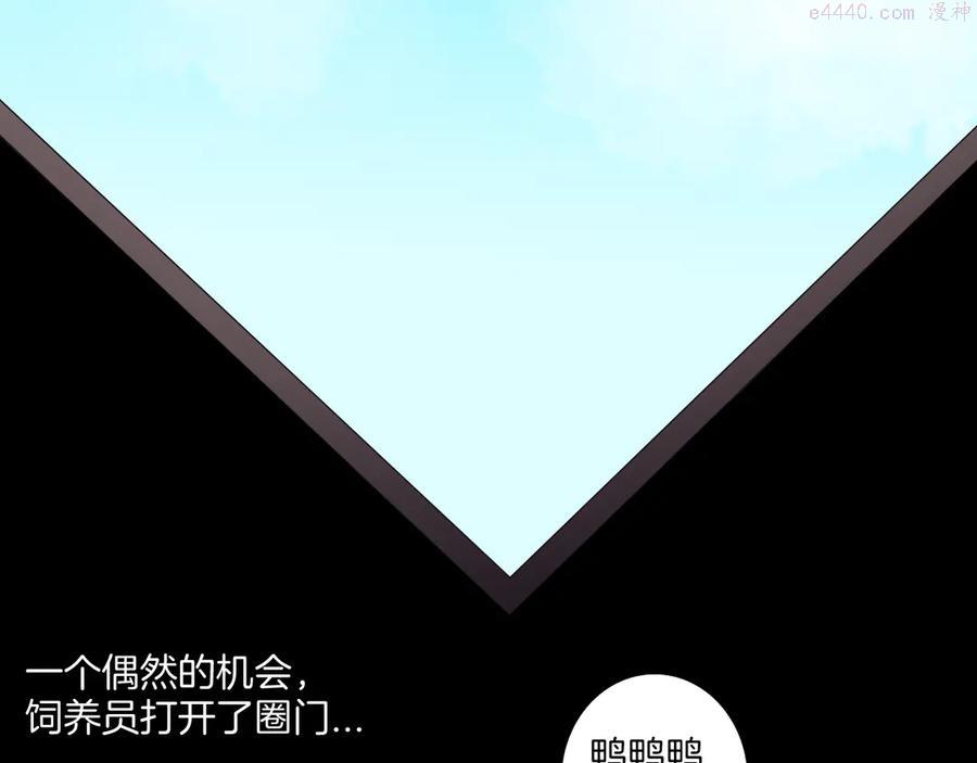 第170话 平凡鸭4