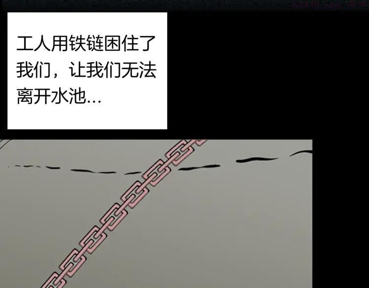 第91话 蛞蝓（下）2