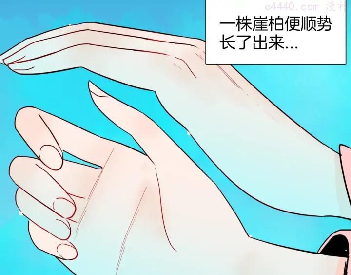 第147话 崖柏（下）3