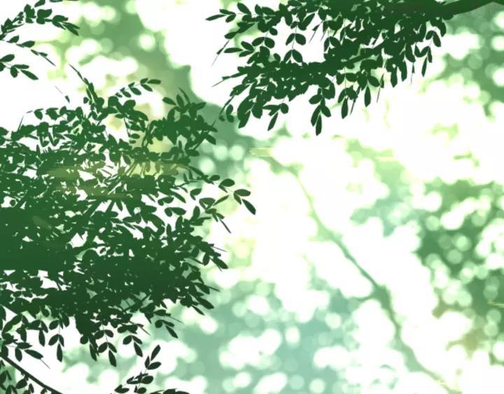 第41话 告白之冷猫4