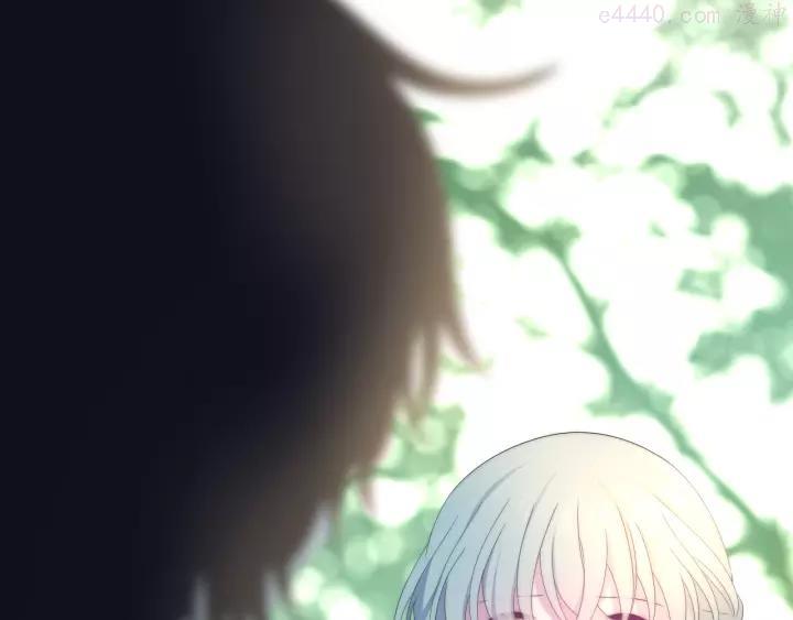 第41话 告白之冷猫1