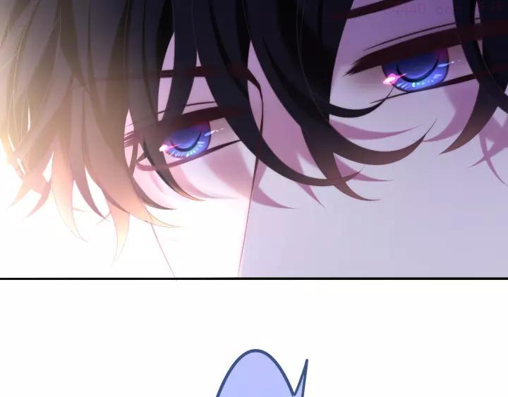 第41话 告白之冷猫0