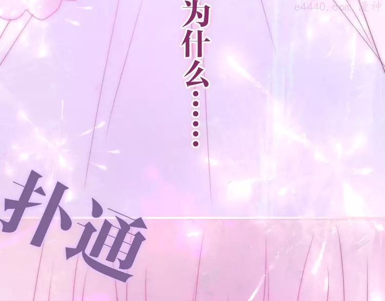第31话 绽放的礼花3