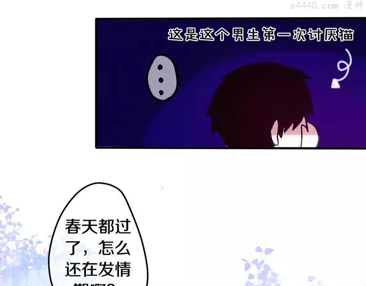 第26话 我的春天4