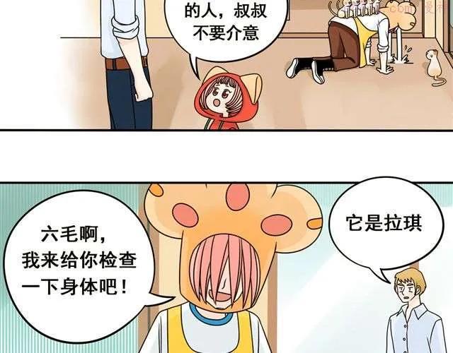 第13话. 指引方向的猫3