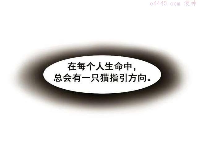 第13话. 指引方向的猫1