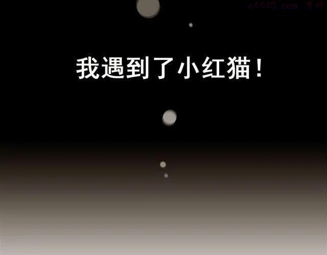 第21话 我遇到了小红猫！0