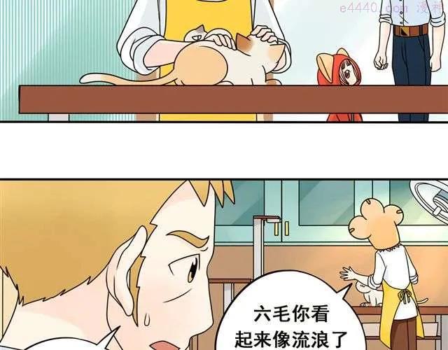 第13话. 指引方向的猫4