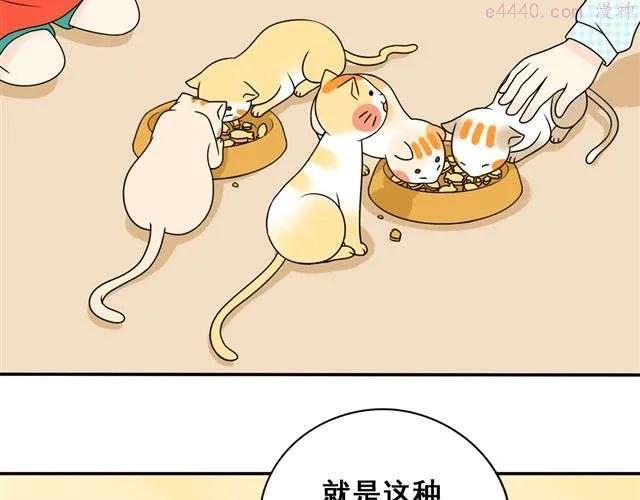 第16话 小红猫是人不是猫！3