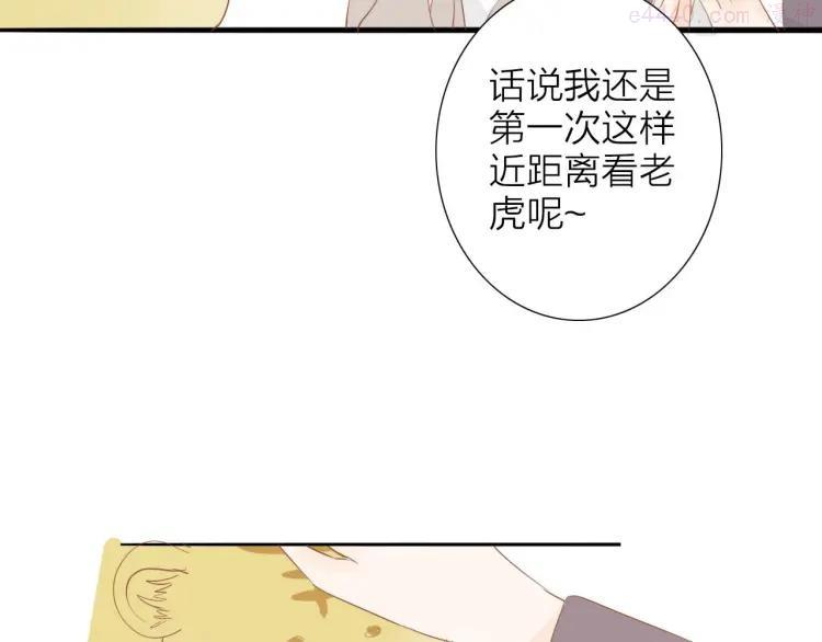 虎虎小剧场4