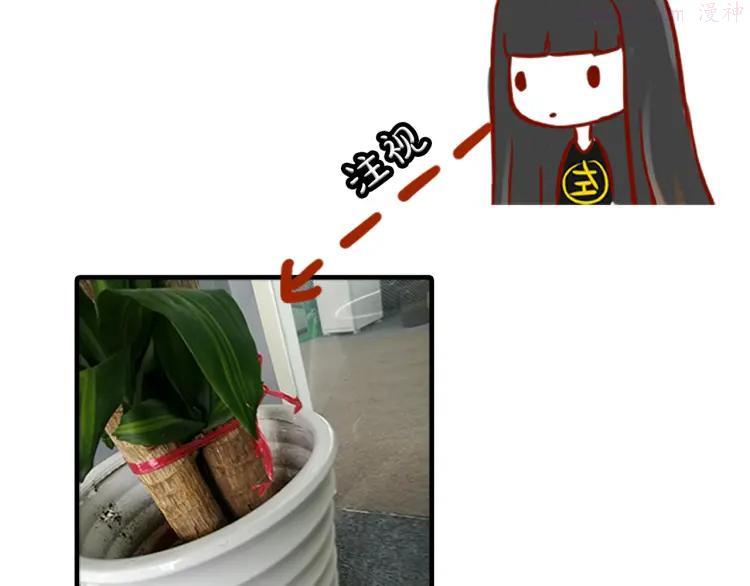 第8期 《朝花惜时》可乐仿妆3