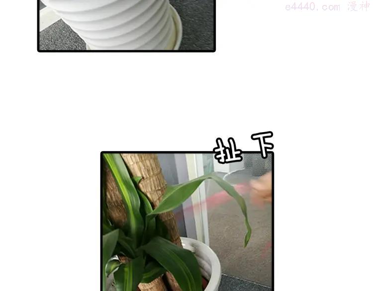 第8期 《朝花惜时》可乐仿妆4