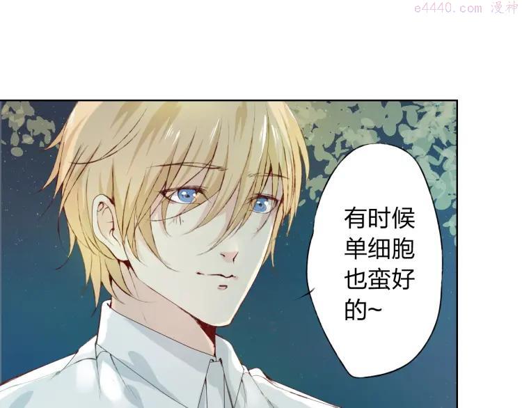 第9话 神奇的月光！2