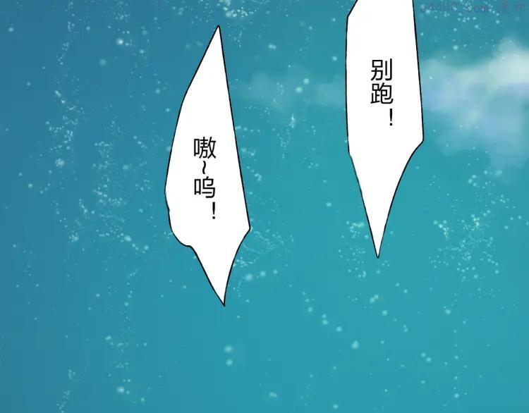 第9话 神奇的月光！2