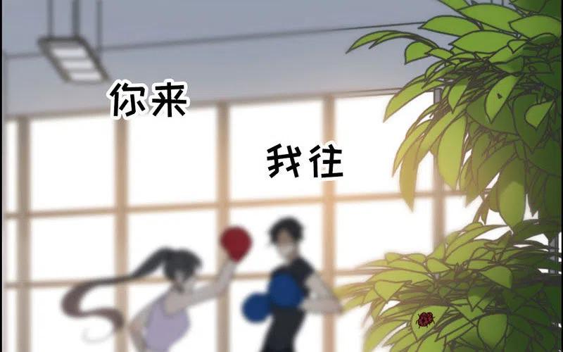 25- 分出胜负2