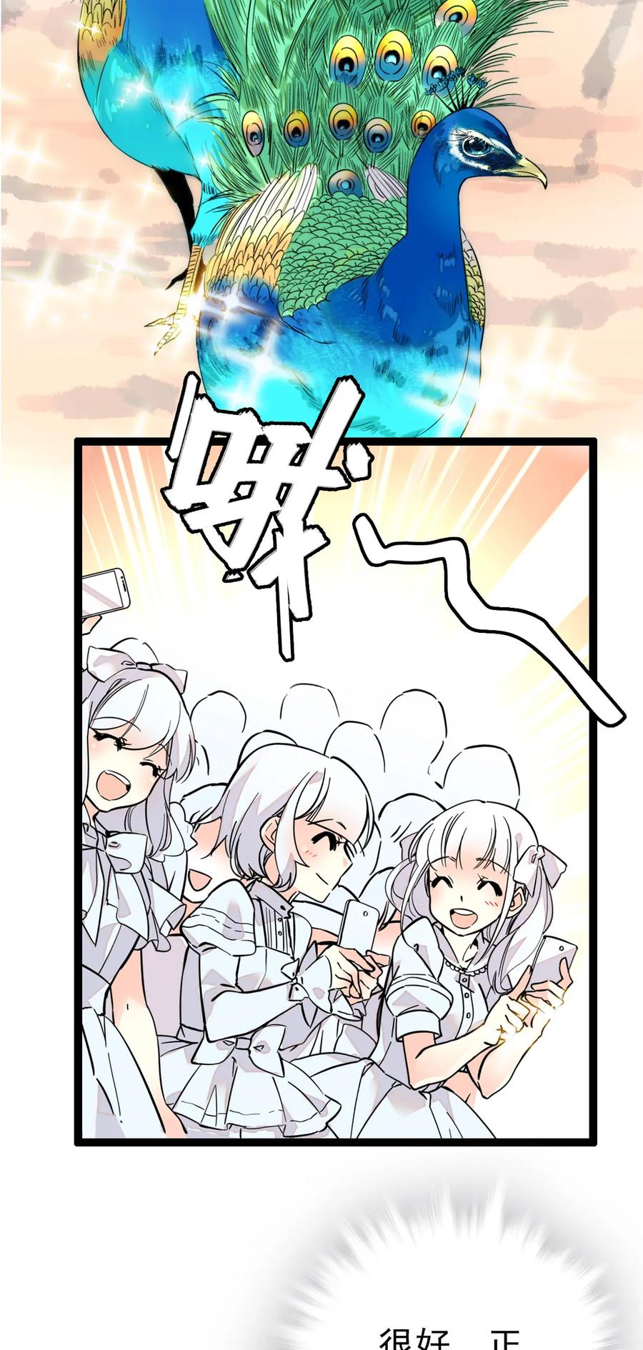 027 开张大吉，完美收官2