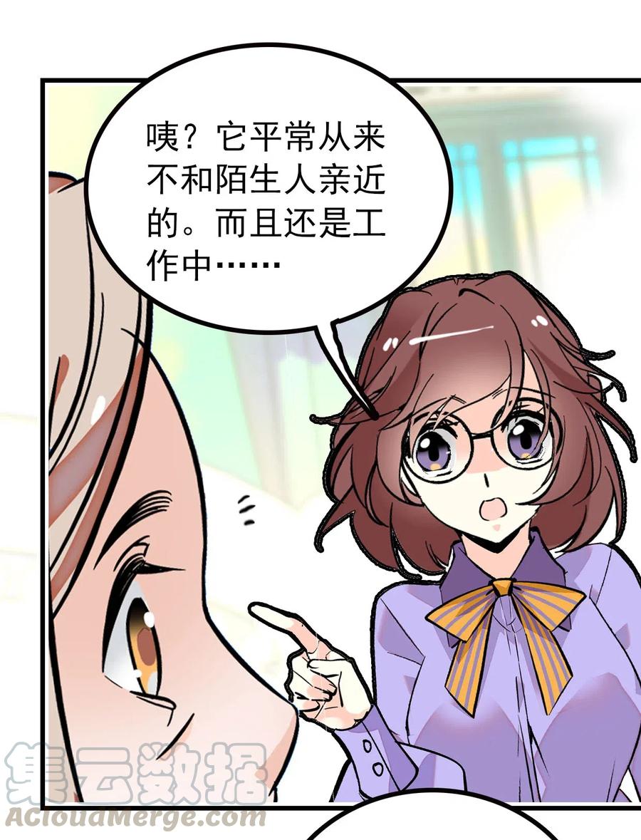 126 与小狗喜相逢4